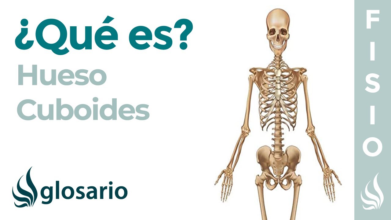 Hueso CUBOIDES │Qué es, significado, dónde queda, para qué sirve y lesiones que presenta