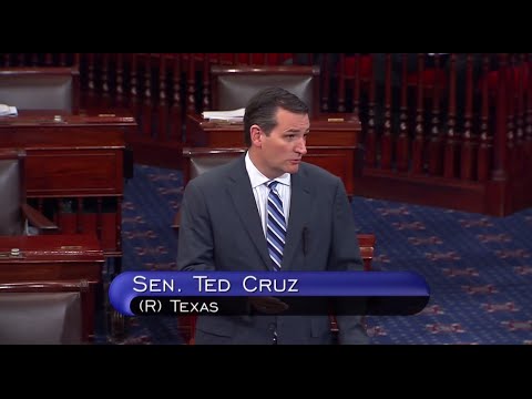 Sen. Ted Cruz: This is a Humanitarian Crisis of the President's own Making