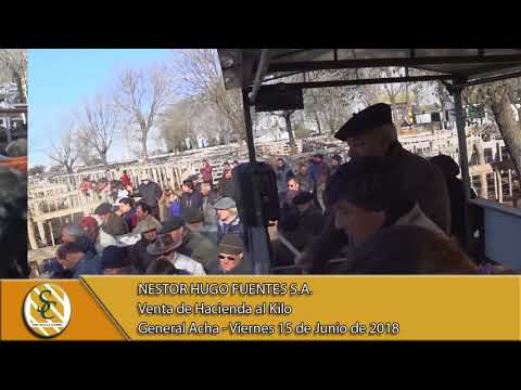 15-06-18 Venta de Gordo - Nestor Hugo Fuentes - General Acha