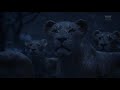 Lion King 2019 Circle Of Life Reprise Slovene Subs Trans