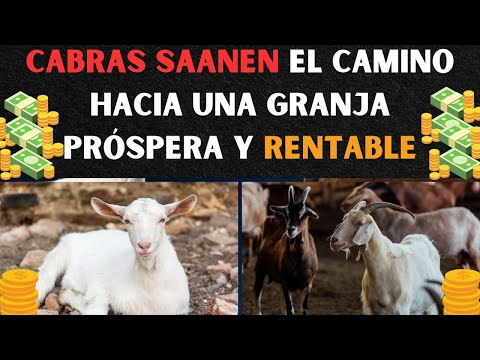 , title : 'Cabras Saanen El camino hacia una granja próspera y rentable 2023'