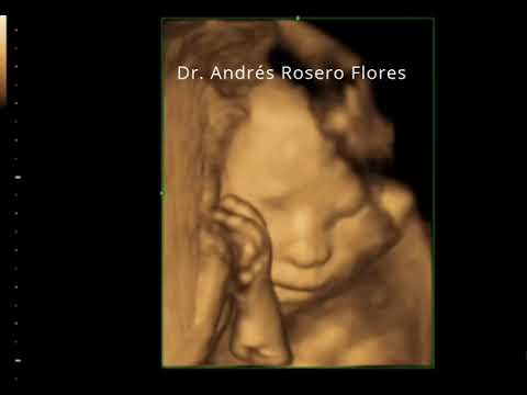Andrés Rosero Flores-7
