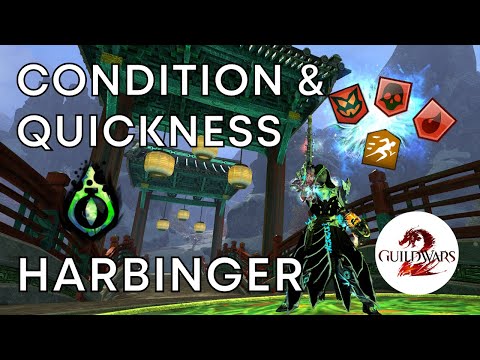 Condition Damage and Quickness Harbinger PVE Build Guide - Guild Wars 2