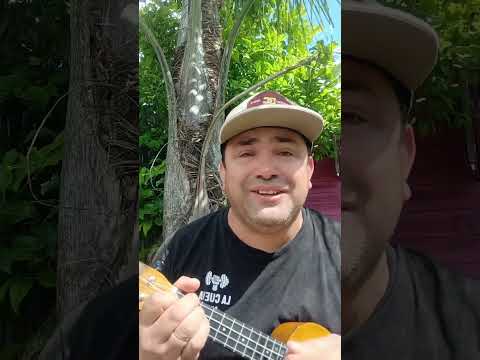 Niño Guitarrero (Mensajeros del Folklore San Salvador Entre Ríos)