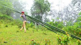 #2Survival in the wild forest