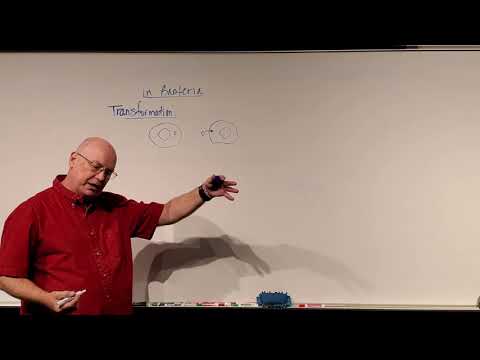 Chapter 9:  Genetic Engineering