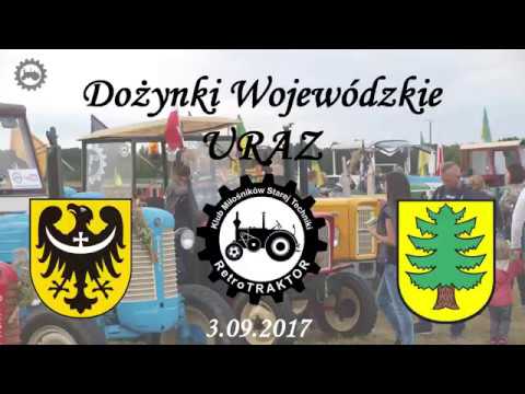 Najmniejszy członek pytaniach i odpowiedziach Fetysz mały penis