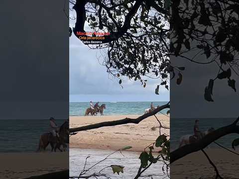 #maceioalagoas #praia #praiasdonordeste #turismo #nordeste