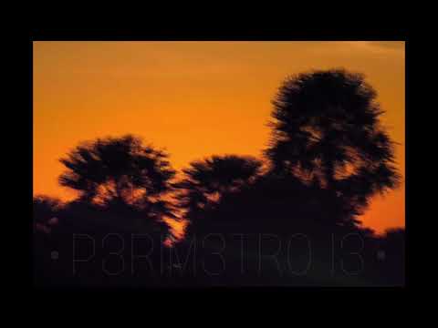 JOPSO Y SODO - PERIMETRO 13