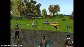 The Second Farm in Meisha Verstandig's Party