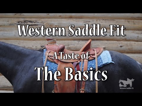 A Taste of Western Saddle Fit - the Basics