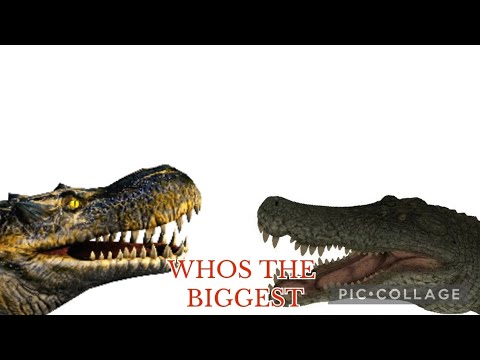 WHOSE THE BIGGEST(Deinosuchus vs Purrusaurus