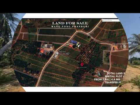 Land in Wang Pong, Pranburi, ประจวบคีรีขันธ์, วังก์พง, ปราณบุรี, ประจวบคีรีขันธ์, 3,200 ตร.ม., ที่ดิน ขาย, โดย Kanokkarn Brendle, 500379110 - DDproperty.com