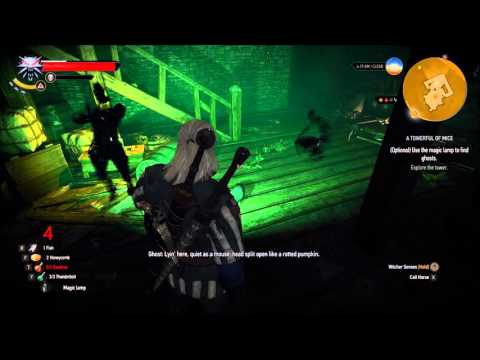 The Witcher 3: A Towerful of Mice Ghost Locations and Conversations