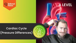 A Level Biology - Pressure Differences in the Heart