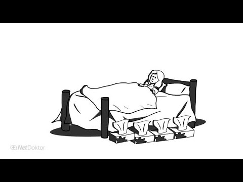 Erkältung: So arbeitet das Immunsystem - NetDoktor.de