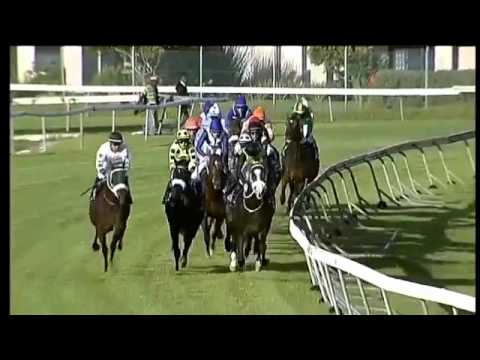 2016.04.23 Winter Guineas (RSA) - Marinaresco