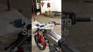 Download lagu nada dering Spongebob mp3