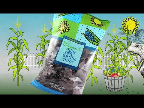 download lagu mp3 mp4 Blue Chips Ingredients, download lagu Blue Chips Ingredients gratis, unduh video klip Blue Chips Ingredients