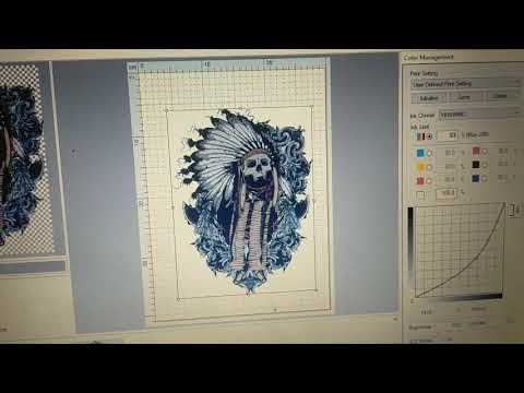 Acrorip 9.0.3 set up settings for Epson L1800