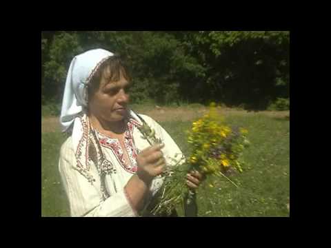 Macedonian Folk Group "MEGDAN" Kocani - Narodna Pesna (10)
