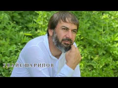 Со хьенан ирсах хьаьгна хилла