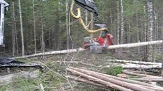 preview picture of video 'Timbco 425D forest harvesting Russia'