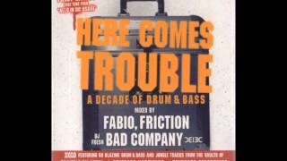 Trouble On Vinyl A Decade Of D&B DJ Friction Mix CD1 (2003)