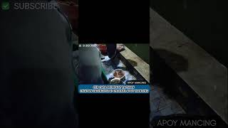 Download lagu RACIKAN CELUPAN CACING BIKIN PELAMPUNG NGETRIK TERUS #shorts #apoymancing @apoymancing mp3