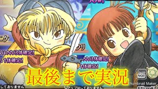 【FFBE】こんなコラボが実現するなんて！魔法陣ぐるぐるニケ&ククリ！！（20250120）