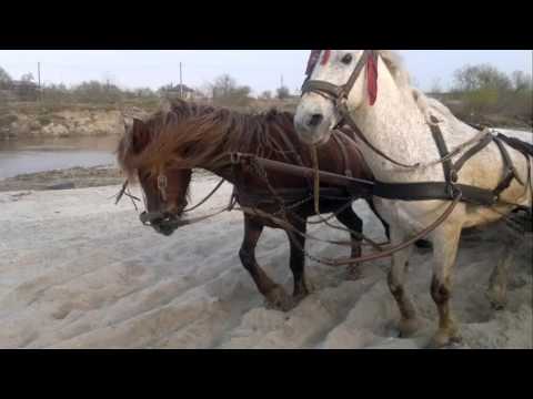 Cai la ion din cartojani