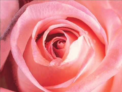 Soul Love by Archangel Sandalphon through Phoenix.wmv