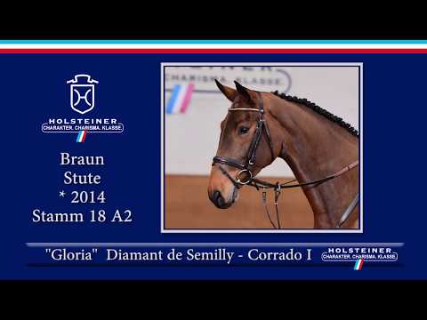 Holsteiner Frühjahrsauktion 2020 - Nr. 113 Gloria v. Diamant de Semilly - Corrado I