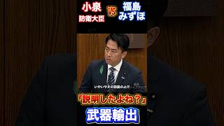 【小泉大臣】VS福島瑞穂、話が通じなさすぎてヤバい...#小泉進次郎 #社民党 #福島みずほ #自民党