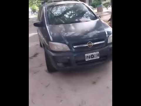 Los zorros se hicieron el día!