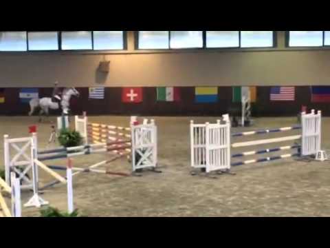 Adelasia YO  Viola Sofia Betti C135 Fasi