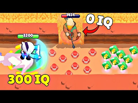 300 IQ COLETTE vs 0 IQ BO ! Brawl Stars Wins & Fails #216