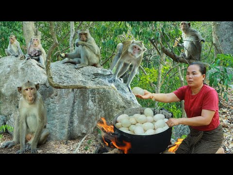 survival in the rainforest-found duck eggs for cook & eat with monkeys