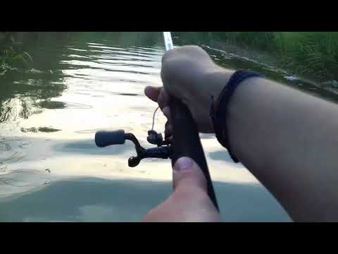 Pescuit de clean pe Cricov