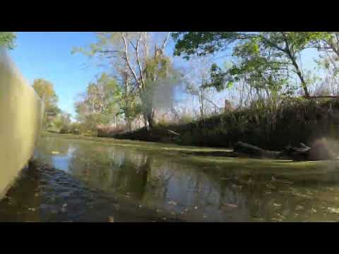 Kayaking in Bayou Blue, Louisiana