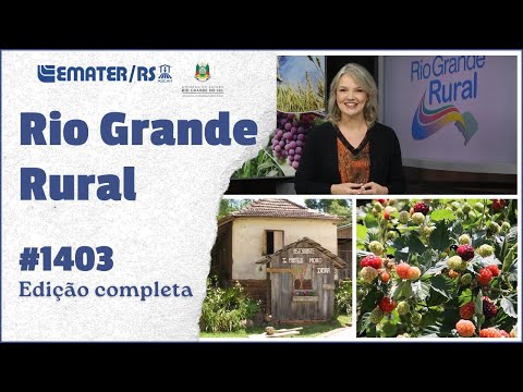 Rio Grande Rural 1403 - 23/11/2025