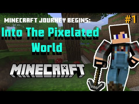 MINECRAFT BEGINS: Episode 1 - Into the pixelated world