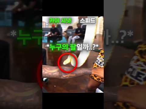 뱀한테 물린 카이 vs 스피드 반응차이