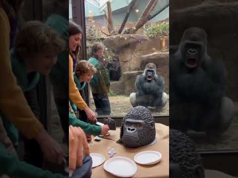 I deserve an Oscar, right? 😅🐵