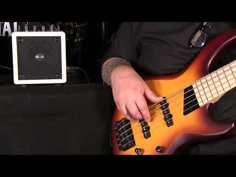 X4 Nanobass Desktop Combo Amplifier (with Bluetooth)