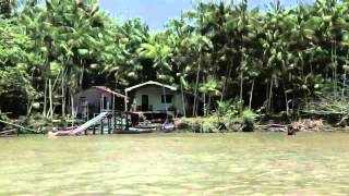 Amazonia desconhecida Trailer