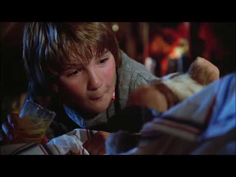 Gremlins (1984) - Gizmo Gets Wet Scene (HD)