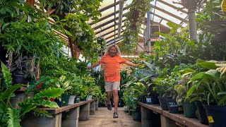 22 Minutes of Pure Houseplant Shopping Pleasure