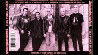 screeching weasel - i'll stop de rain .