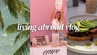 Life Lately: taking in an injured cat, living and working abroad, running my own business, and more!